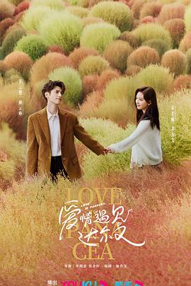 智能seo软件好项目